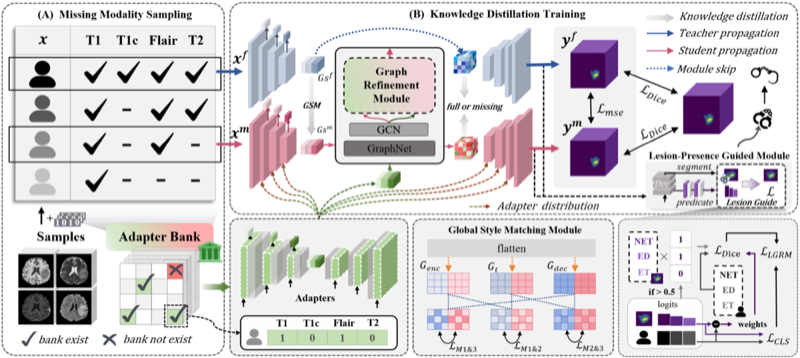 AdaMM framework for missing-modality brain tumor segmentation