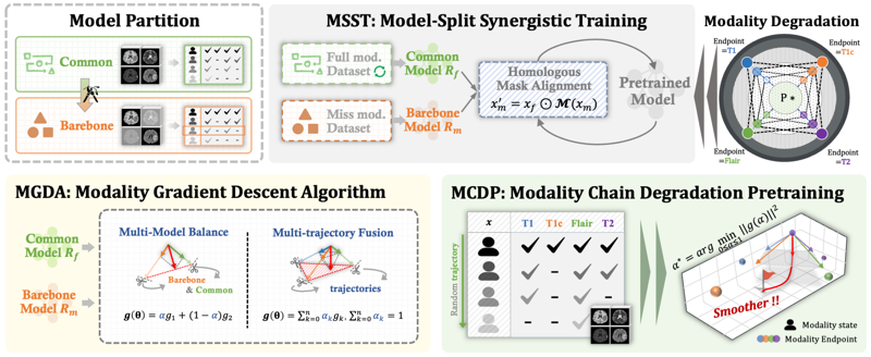ReBorn framework for robust segmentation under modality degradation